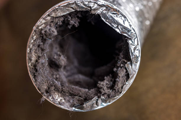 Best Air Vent Cleaning Services  in Vernon Center, NJ